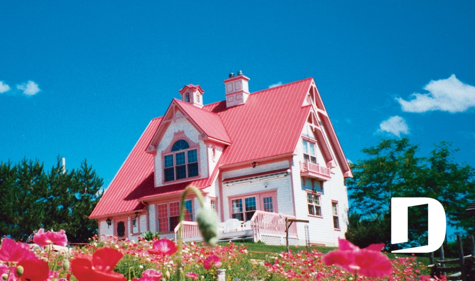 Vue arrière - MODÈLE DE BASE -  - Ulverton